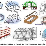 Зелень в теплице зимой: лук, петрушка, укроп и другие